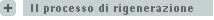 Il processo di rigenerazione